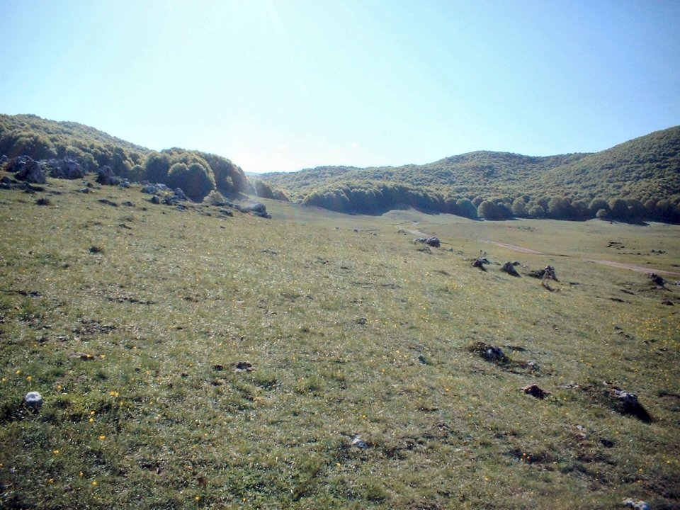 ancora foto dai simbruini